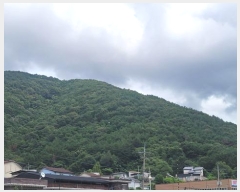  2025Ÿ��20784  �Ӿ߰��