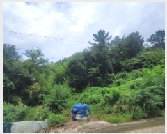  2025Ÿ��20784  �Ӿ߰��