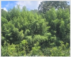  2025Ÿ��20793 �泲 �Ծȱ� ������ Ȳ�縮 911      ����(����)���