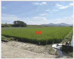  2025Ÿ��20797 �泲 �Ծȱ� ������ �ֹ��� 40-8      ����(��)���