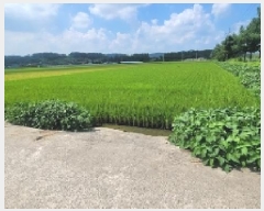  2025Ÿ��20797 �泲 �Ծȱ� ������ �ֹ��� 40-8      ����(��)���