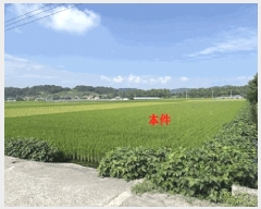  2025Ÿ��20797 �泲 �Ծȱ� ������ �ֹ��� 40-8      ����(��)���