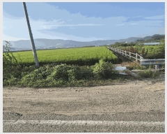  2025Ÿ��20832  ����