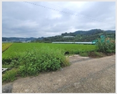  2025Ÿ��20832  ����