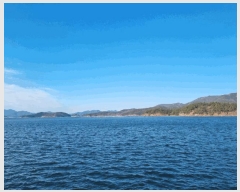  2025Ÿ164 泲 â         ǰ