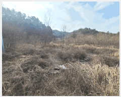  2025Ÿ��169  ����