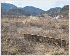  2025Ÿ��169  ����