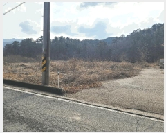  2025Ÿ��169  ����