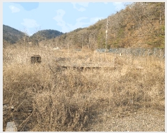  2025Ÿ��169  ����