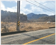  2025Ÿ��169  ����