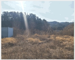  2025Ÿ��169  ����