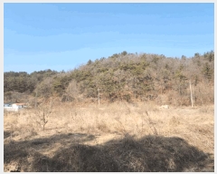  2025Ÿ��170 �泲 �Ծȱ� ���θ� �԰ 1044-1      ����(��)���