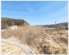  2025Ÿ��170 �泲 �Ծȱ� ���θ� �԰ 1044-1      ����(��)���