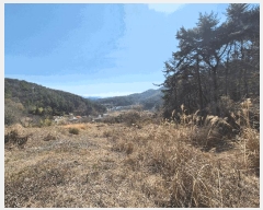  2025Ÿ��185 �泲 â���� ���������� ������ �̸��� 838     ����(��1)���