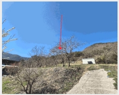  2025Ÿ��185 �泲 â���� ���������� ������ �̸��� 838     ����(��1)���