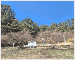  2025Ÿ��185 �泲 â���� ���������� ������ �̸��� 838     ����(��1)���