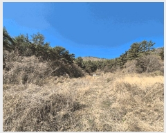  2025Ÿ��185 �泲 â���� ���������� ������ �̸��� 838     ����(��1)���