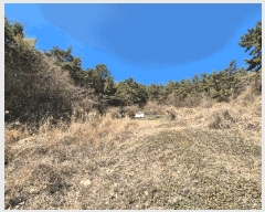  2025Ÿ��185 �泲 â���� ���������� ������ �̸��� 838     ����(��1)���