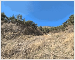  2025Ÿ��185 �泲 â���� ���������� ������ �̸��� 838     ����(��1)���