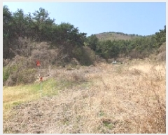  2025Ÿ��185 �泲 â���� ���������� ������ �̸��� 838     ����(��1)���