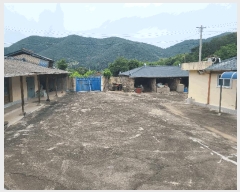  2025Ÿ��228 �泲 �Ƿɱ� ���ʸ� ������ 64-3      ���ð��