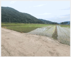  2025Ÿ��228 �泲 �Ƿɱ� ���ʸ� ������ 64-3      ���ð��