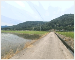  2025Ÿ��228  �����