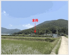  2025Ÿ��233  ����