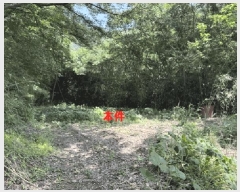  2025Ÿ��233  ����