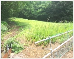  2025Ÿ��233  ����