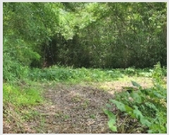  2025Ÿ��233  ����