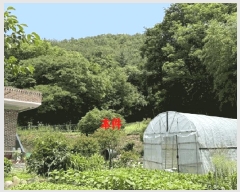  2025Ÿ��233  ����