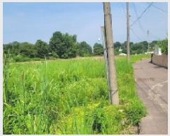  2025Ÿ��234  ����