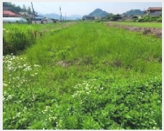  2025Ÿ��234  ����