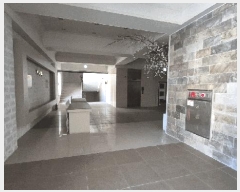  2025Ÿ��249  �ٸ��ü����