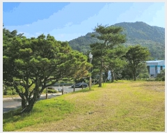  2025Ÿ��250  �ٸ��󰡰��