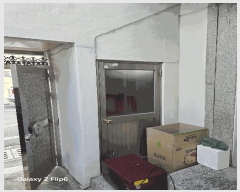  2025Ÿ��256  ���ð��