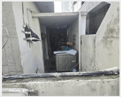  2025Ÿ��256  ���ð��