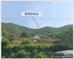  2025Ÿ��257  �������