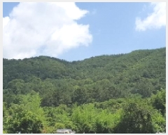  2025Ÿ��257  �Ӿ߰��