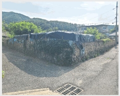  2025Ÿ��257  �������