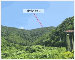  2025Ÿ��257  �������