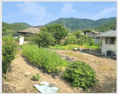  2025Ÿ��257  �������