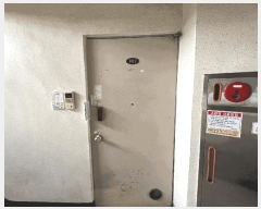  2025Ÿ��264  ����Ʈ���