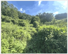  2025Ÿ��272 �泲 �Ծȱ� ���� ���ĸ� 1009-3      ����(��)���