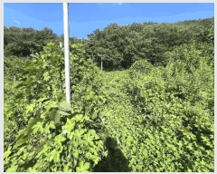  2025Ÿ��272 �泲 �Ծȱ� ���� ���ĸ� 1009-3      ����(��)���