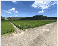  2025Ÿ��272 �泲 �Ծȱ� ���� ���ĸ� 1009-3      ����(��)���