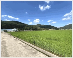  2025Ÿ��272 �泲 �Ծȱ� ���� ���ĸ� 1009-3      ����(��)���