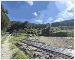  2025Ÿ��272 �泲 �Ծȱ� ���� ���ĸ� 1009-3      ����(��)���