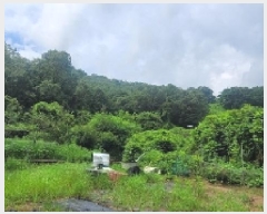  2025Ÿ��272 �泲 �Ծȱ� ���� ���ĸ� 1009-3      ����(��)���